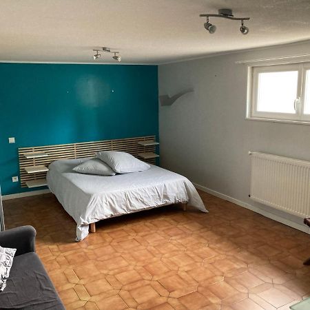 Appartement En Rez-De-Chaussee De Maison Montanay 외부 사진